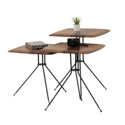 Tara Nesting Tables Walnut